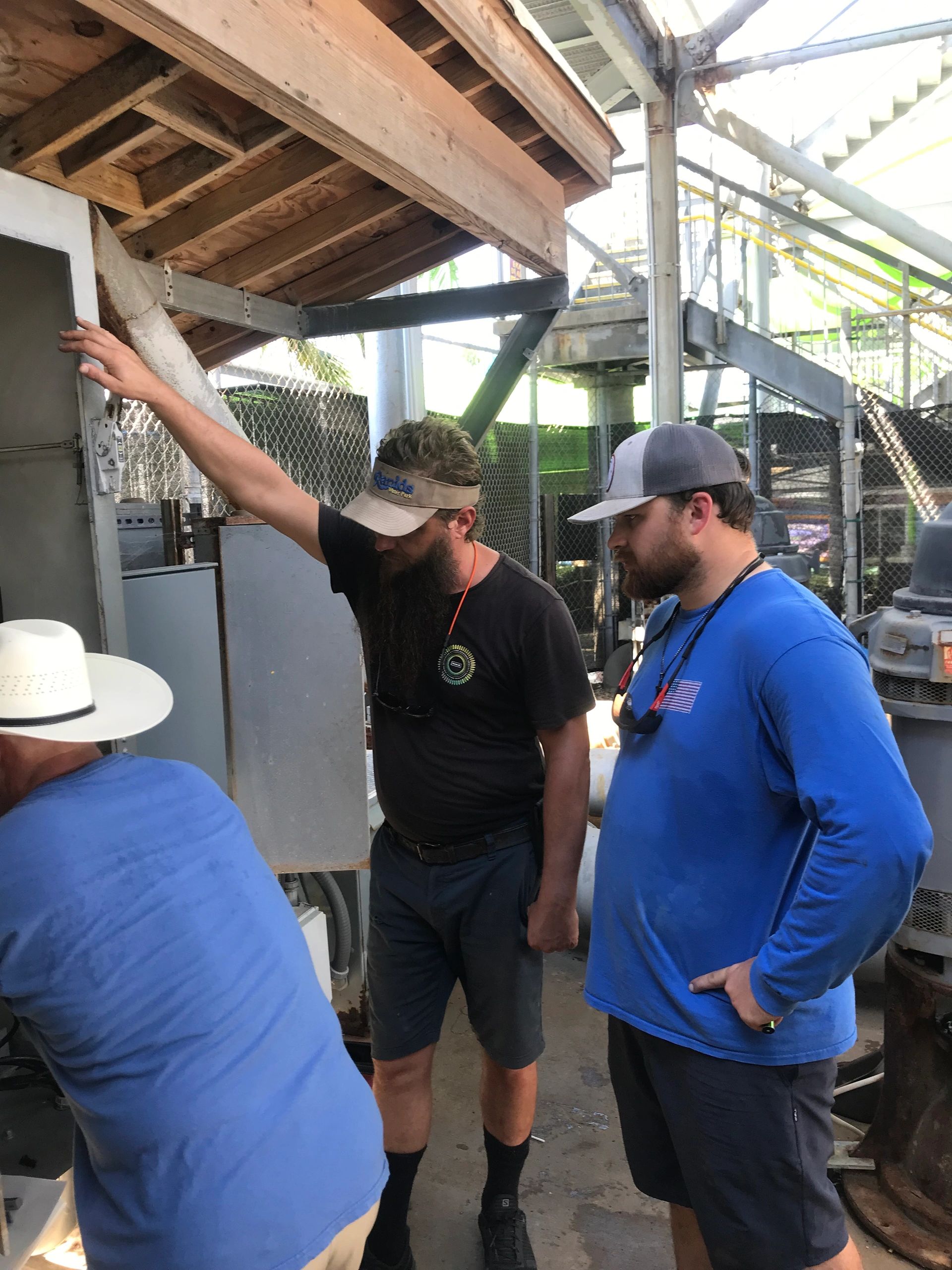 Juno Electric LLC — professional electrician